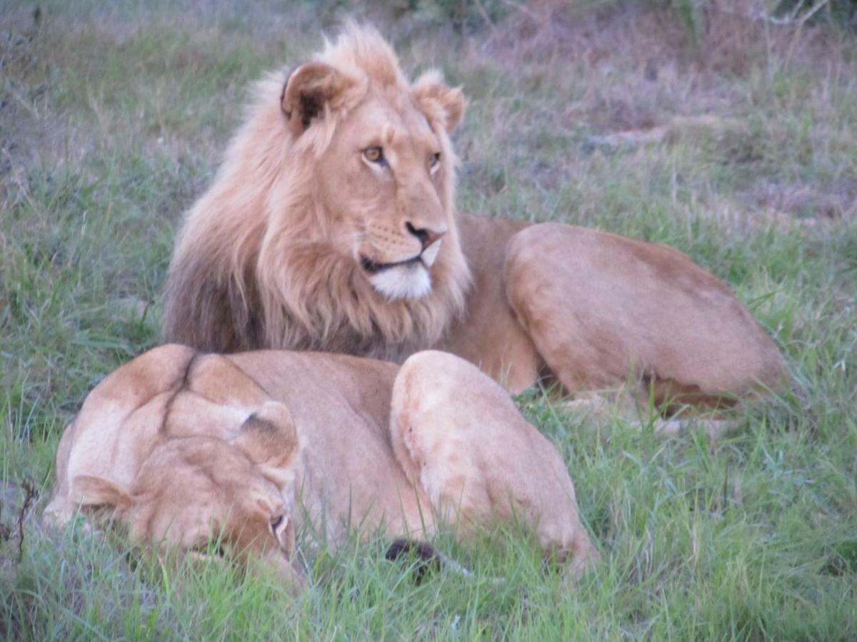 Addo Gateway Lodge Colchester Eksteriør billede